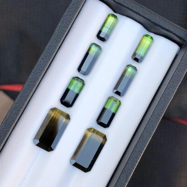 14.3 Carats Gorgeous Faceted Bi Colour Tourmaline