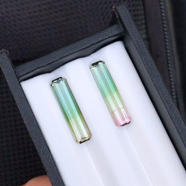 Gorgeous Faceted Bi Colour Tourmaline