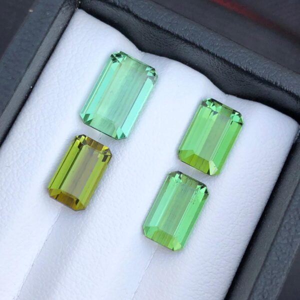 8.8 Carats Stunning Faceted Tourmaline