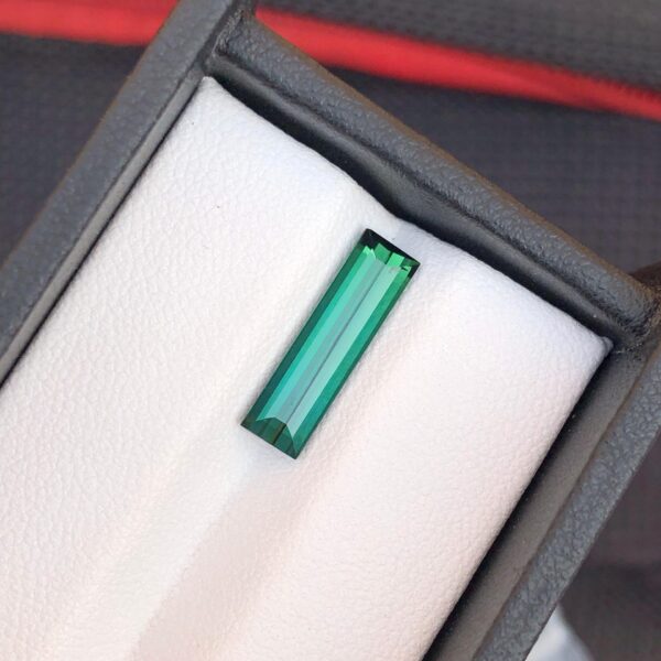 2.68 Carats Stunning Faceted Tourmaline