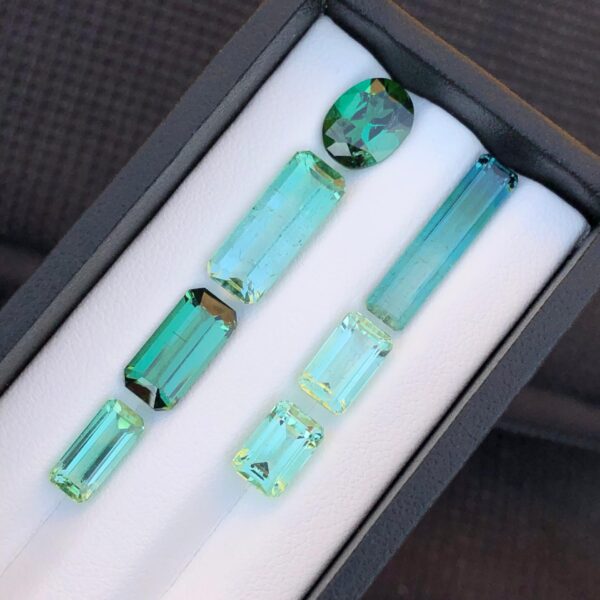 17.67 Carats Stunning Faceted Tourmaline Lot