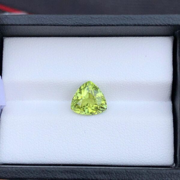 3 Carats Gorgeous Faceted Tourmaline