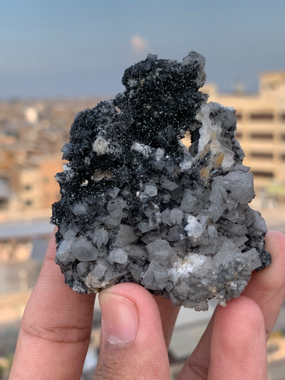 WhatsApp Image 2025-09-05 at 7.31.38 AM