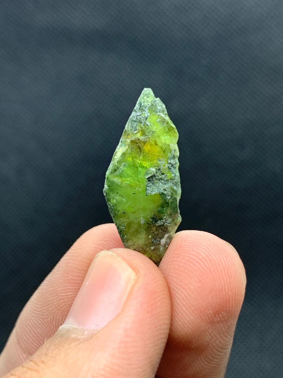 WhatsApp Image 2025-10-04 at 7.48.46 AM